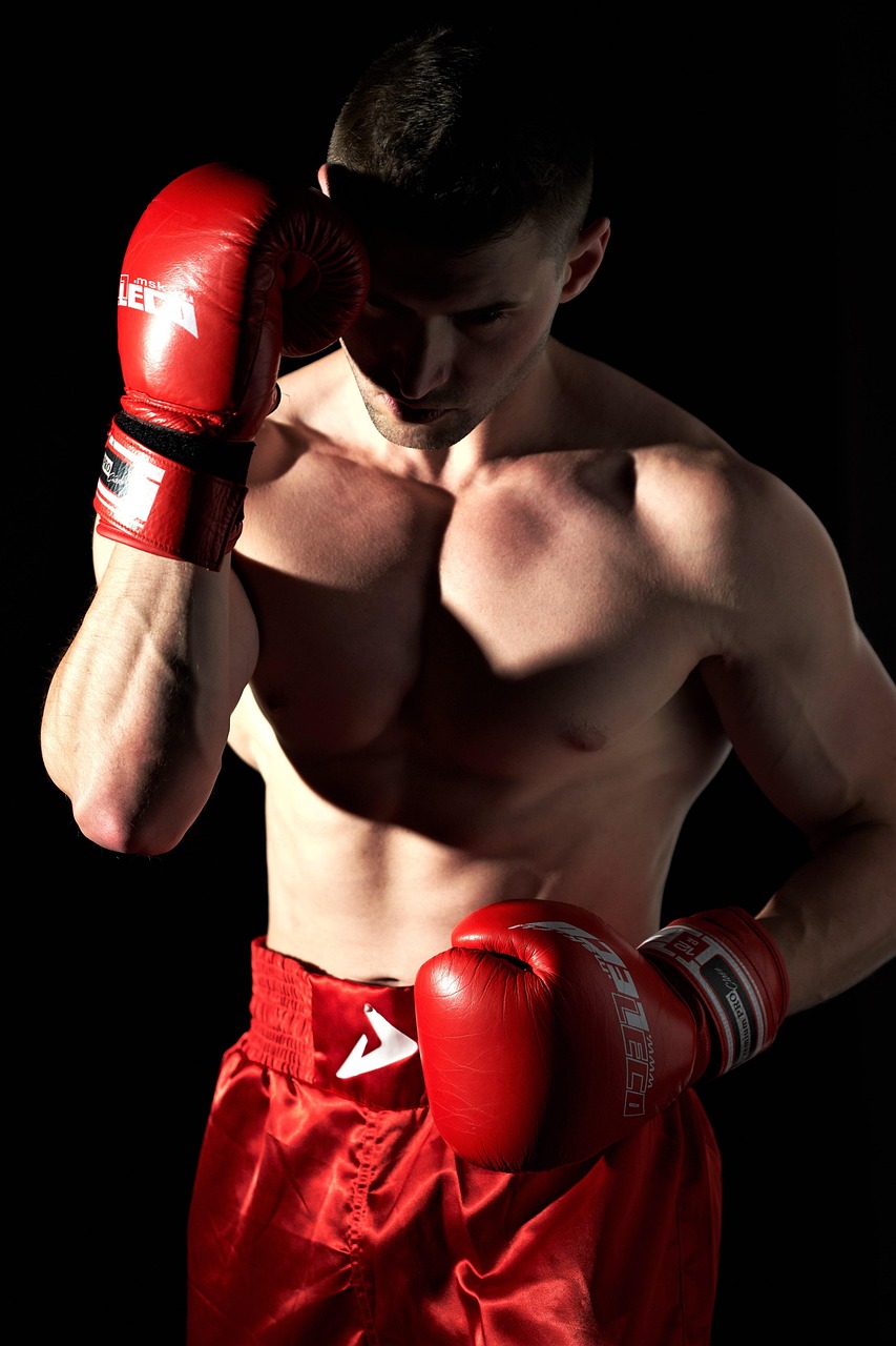 boxing, sport, sports, boxer, the fight, gloves, kickboxing, sportsman, fight, ufc, fighter, model, power, strong